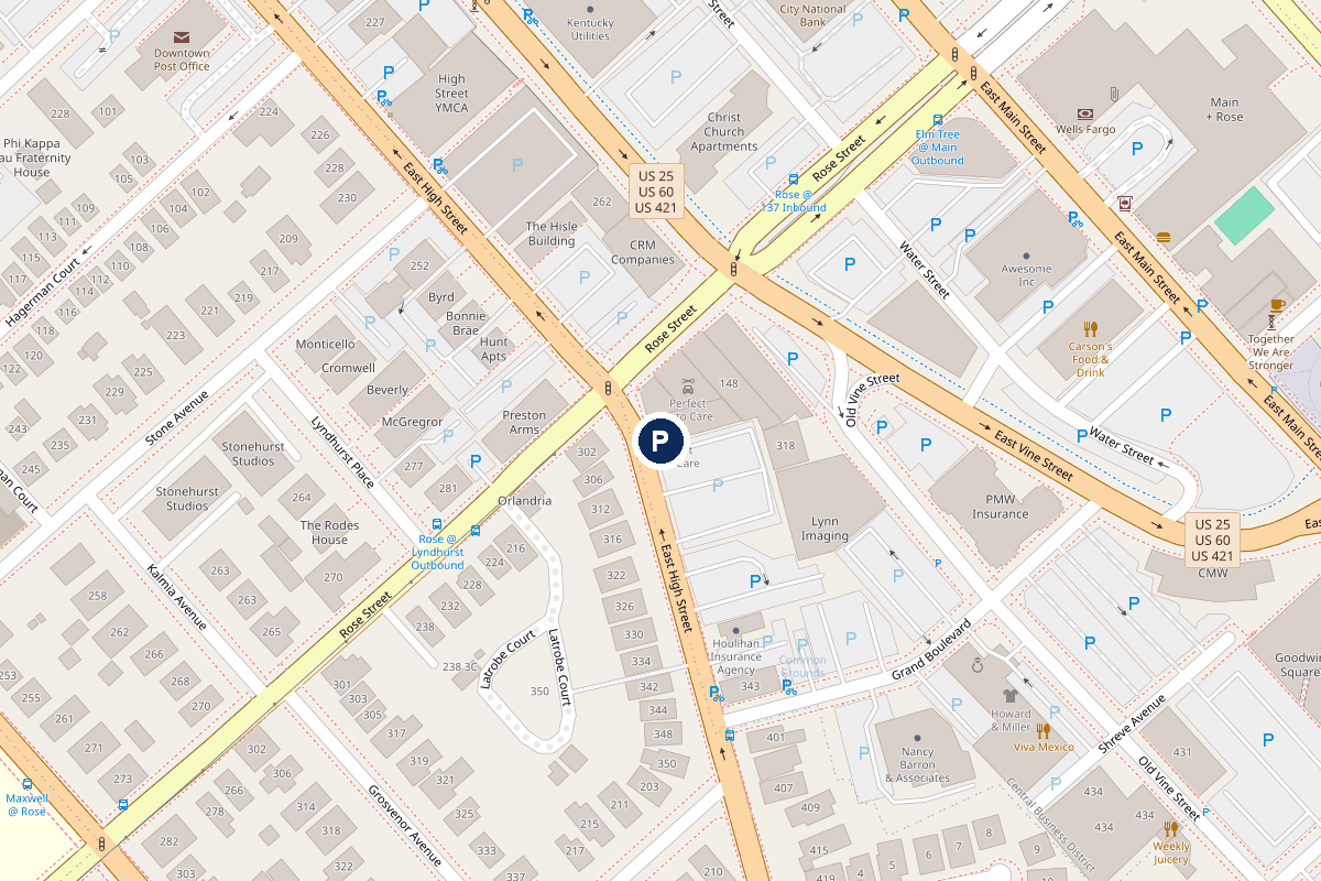 Street map of the block around 315 East High Street, Lexington, with the lot marked